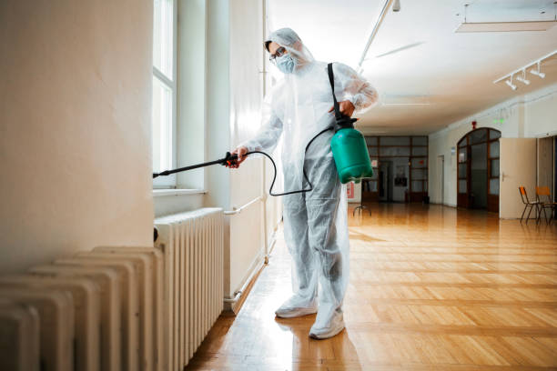 Emergency Pest Control in Lincoln, MO